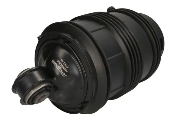 Luftfeder, Fahrwerk Hinterachse links Magnum Technology MZM012MT