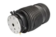 Luftfeder, Fahrwerk hinten links Magnum Technology MZM019MT