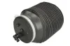 Luftfeder, Fahrwerk Hinterachse beidseitig Magnum Technology MZT004MT Bild Luftfeder, Fahrwerk Hinterachse beidseitig Magnum Technology MZT004MT