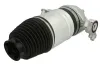 Luftfeder, Fahrwerk Hinterachse links Magnum Technology MZW003MT Bild Luftfeder, Fahrwerk Hinterachse links Magnum Technology MZW003MT