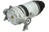 Luftfeder, Fahrwerk Hinterachse rechts Magnum Technology MZW004MT Bild Luftfeder, Fahrwerk Hinterachse rechts Magnum Technology MZW004MT