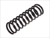 Fahrwerksfeder Hinterachse Magnum Technology SB055MT