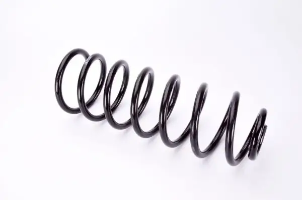 Fahrwerksfeder Hinterachse Magnum Technology SW050MT