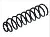 Fahrwerksfeder Hinterachse Magnum Technology SW060MT
