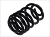 Fahrwerksfeder Hinterachse Magnum Technology SX174MT