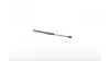 Gasfeder, Koffer-/Laderaum beidseitig BSG BSG 75-980-001
