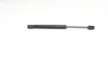 Gasfeder, Koffer-/Laderaum beidseitig BSG BSG 90-980-014