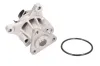 Wasserpumpe, Motorkühlung THERMOTEC D13038TT Bild Wasserpumpe, Motorkühlung THERMOTEC D13038TT