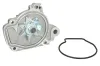 Wasserpumpe, Motorkühlung THERMOTEC D14024TT