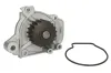 Wasserpumpe, Motorkühlung THERMOTEC D14024TT Bild Wasserpumpe, Motorkühlung THERMOTEC D14024TT