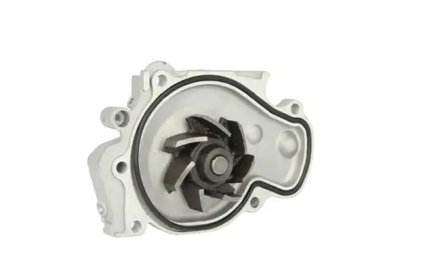 Wasserpumpe, Motorkühlung THERMOTEC D14028TT