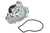 Wasserpumpe, Motorkühlung THERMOTEC D14034TT