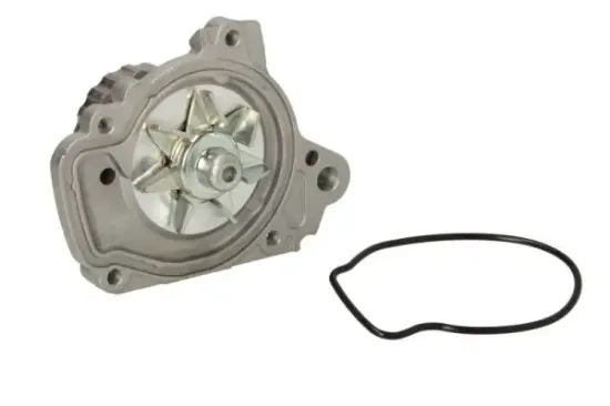 Wasserpumpe, Motorkühlung THERMOTEC D14036TT Bild Wasserpumpe, Motorkühlung THERMOTEC D14036TT