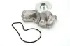 Wasserpumpe, Motorkühlung THERMOTEC D14050TT