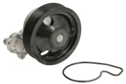 Wasserpumpe, Motorkühlung THERMOTEC D15034TT