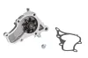 Wasserpumpe, Motorkühlung THERMOTEC D15028TT Bild Wasserpumpe, Motorkühlung THERMOTEC D15028TT