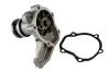 Wasserpumpe, Motorkühlung THERMOTEC D18002TT