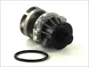 Wasserpumpe, Motorkühlung THERMOTEC D1B018TT Bild Wasserpumpe, Motorkühlung THERMOTEC D1B018TT