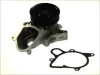 Wasserpumpe, Motorkühlung THERMOTEC D1B031TT
