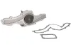 Wasserpumpe, Motorkühlung THERMOTEC D1D016TT