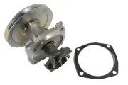 Wasserpumpe, Motorkühlung THERMOTEC D1F050TT