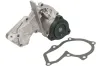 Wasserpumpe, Motorkühlung THERMOTEC D1G039TT Bild Wasserpumpe, Motorkühlung THERMOTEC D1G039TT