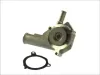Wasserpumpe, Motorkühlung THERMOTEC D1G021TT Bild Wasserpumpe, Motorkühlung THERMOTEC D1G021TT