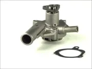 Wasserpumpe, Motorkühlung THERMOTEC D1G030TT