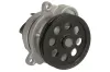 Wasserpumpe, Motorkühlung THERMOTEC D1G060TT