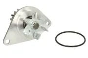Wasserpumpe, Motorkühlung THERMOTEC D1P038TT