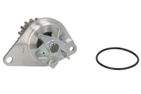 Wasserpumpe, Motorkühlung THERMOTEC D1P043TT