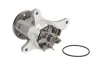 Wasserpumpe, Motorkühlung THERMOTEC D1P049TT Bild Wasserpumpe, Motorkühlung THERMOTEC D1P049TT