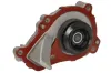 Wasserpumpe, Motorkühlung THERMOTEC D1P050TT Bild Wasserpumpe, Motorkühlung THERMOTEC D1P050TT