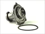 Wasserpumpe, Motorkühlung THERMOTEC D1W049TT