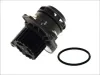 Wasserpumpe, Motorkühlung THERMOTEC D1W039TT Bild Wasserpumpe, Motorkühlung THERMOTEC D1W039TT
