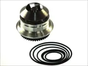 Wasserpumpe, Motorkühlung THERMOTEC D1W051TT