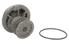 Wasserpumpe, Motorkühlung THERMOTEC D1X021TT Bild Wasserpumpe, Motorkühlung THERMOTEC D1X021TT