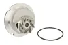 Wasserpumpe, Motorkühlung THERMOTEC D1X029TT Bild Wasserpumpe, Motorkühlung THERMOTEC D1X029TT