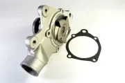 Wasserpumpe, Motorkühlung THERMOTEC D1Y000TT