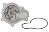 Wasserpumpe, Motorkühlung THERMOTEC D1Y001TT Bild Wasserpumpe, Motorkühlung THERMOTEC D1Y001TT