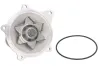 Wasserpumpe, Motorkühlung THERMOTEC D1Y004TT Bild Wasserpumpe, Motorkühlung THERMOTEC D1Y004TT