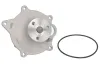 Wasserpumpe, Motorkühlung THERMOTEC D1Y004TT Bild Wasserpumpe, Motorkühlung THERMOTEC D1Y004TT