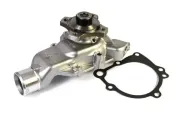 Wasserpumpe, Motorkühlung THERMOTEC D1Y017TT