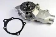 Wasserpumpe, Motorkühlung THERMOTEC D1Y023TT