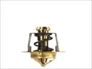 Thermostat, Kühlmittel THERMOTEC D2FO002TT