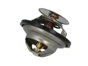 Thermostat, Kühlmittel THERMOTEC D2IV005TT