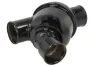 Thermostat, K&uuml;hlmittel THERMOTEC D2MA009TT