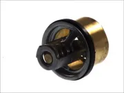 Thermostat, Kühlmittel THERMOTEC D2W013TT