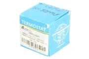 Thermostat, Kühlmittel THERMOTEC D2X007TT