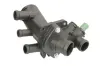 Thermostatgehäuse THERMOTEC D2W008TT Bild Thermostatgehäuse THERMOTEC D2W008TT